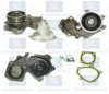 Saleri SIL PA638P Water Pump